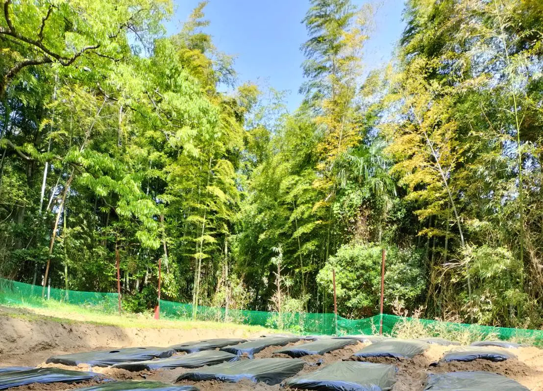 Environment Background