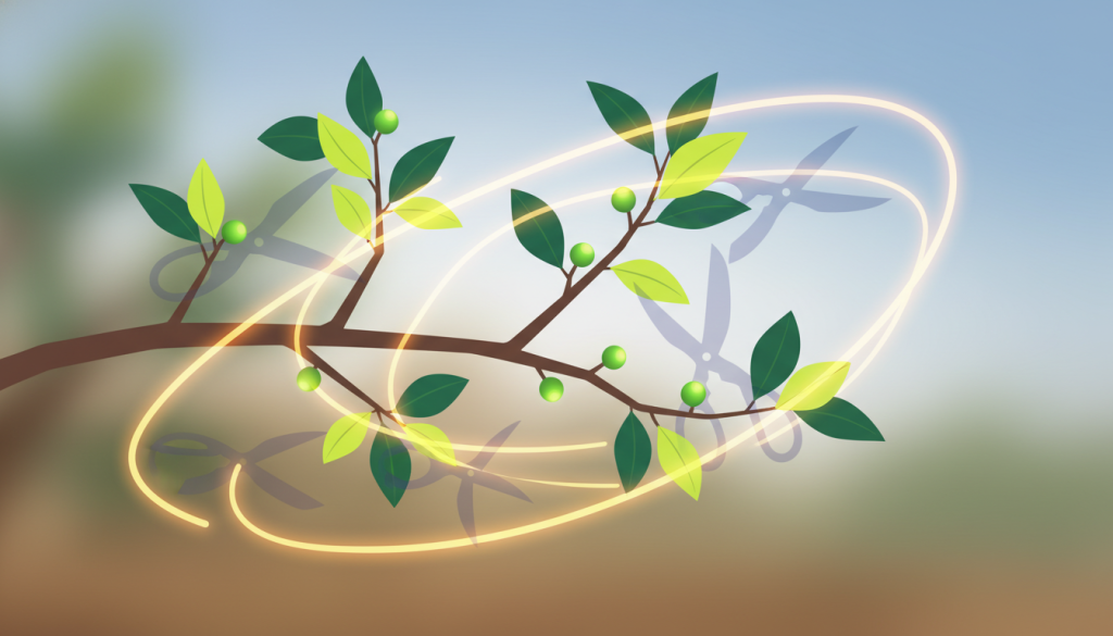 スモモの成長を促す剪定のコツ